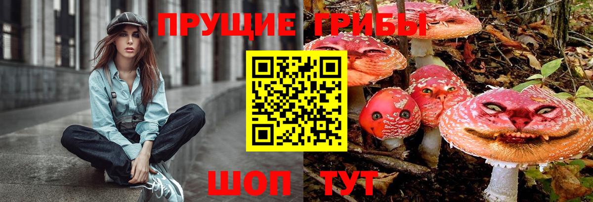 Галлюциногенные грибы прущие грибы Новотроицк