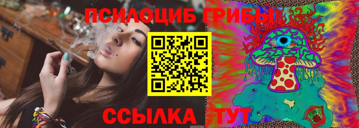 Псилоцибиновые грибы мухоморы  Вход с VPN  Новотроицк  Псилоцибиновые грибы Cubensis 